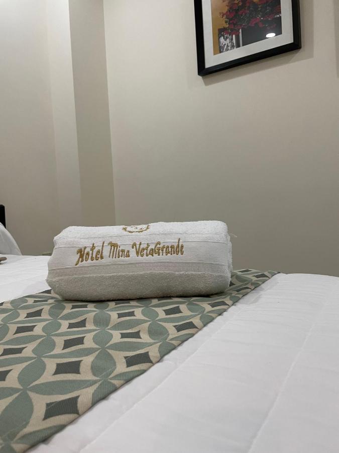 Hotel Mina Vetagrande Zacatecas Exteriör bild